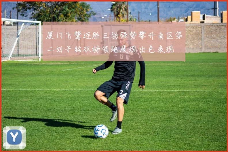 厦门飞鹭连胜三场强势攀升南区第二刘子铭双榜领跑展现出色表现