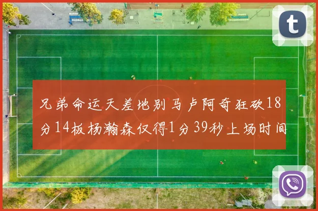 兄弟命运天差地别马卢阿奇狂砍18分14板杨瀚森仅得1分39秒上场时间